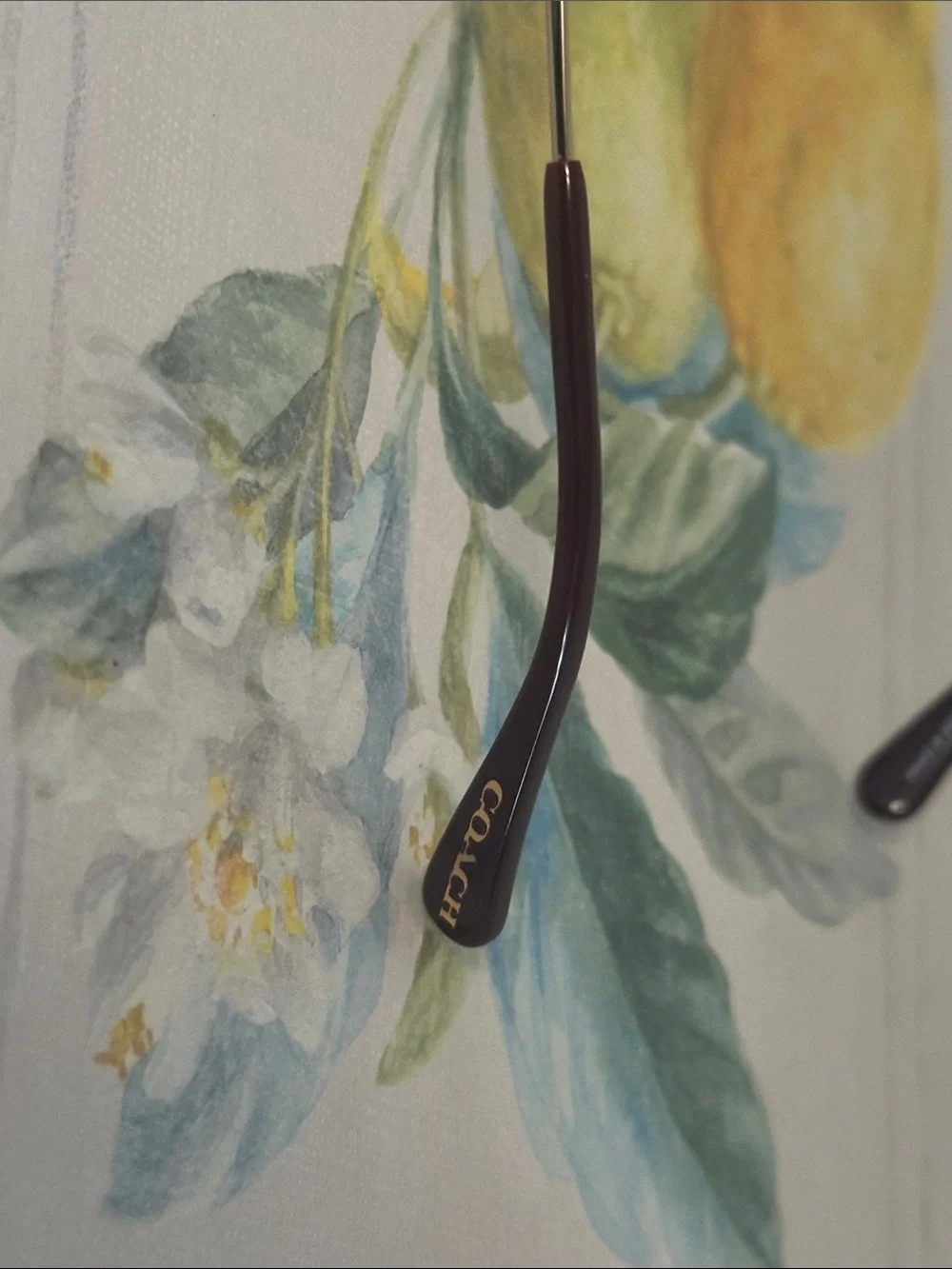 Coach Gold Metal Sunglasses with Burgundy Lenses